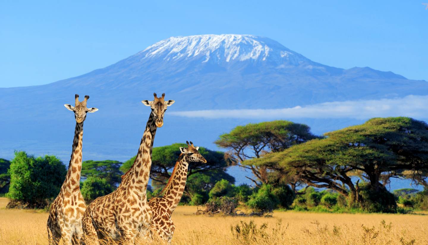 13-days-12-nights-masai-mara-lake-nakuru-amboseli-lake-manyara-serengeti-ngorongoro-safari-package-banner