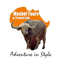 Moshel Tours and Travel Logo