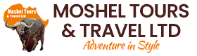 Moshel Tours and Safaris